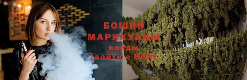 Марихуана SATIVA & INDICA  Новокубанск 